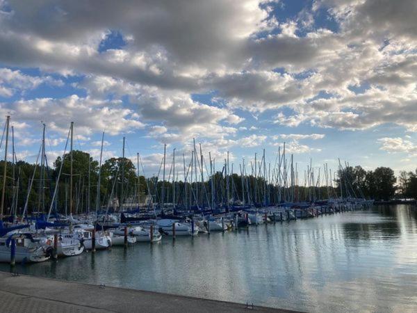 Zawia Apartman Daire Balatonföldvár Dış mekan fotoğraf