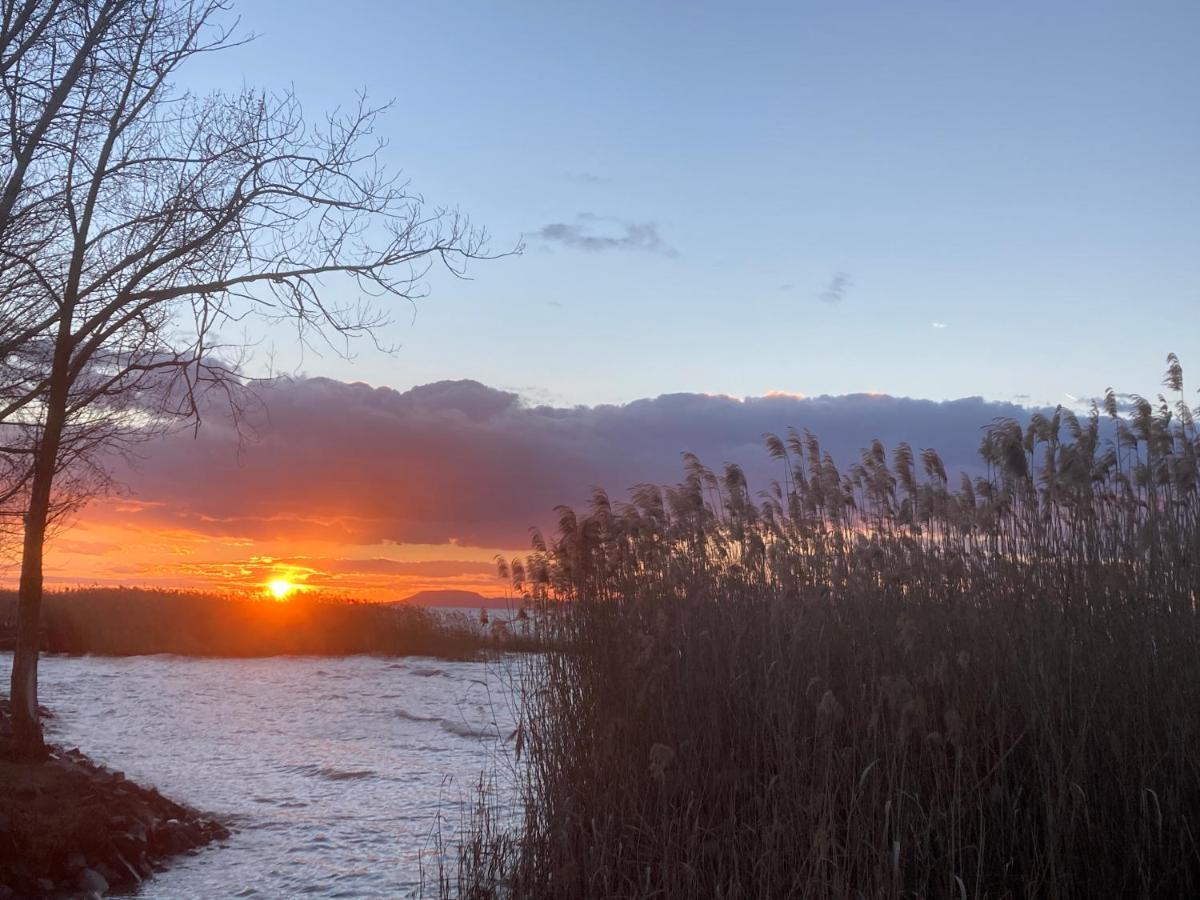 Zawia Apartman Daire Balatonföldvár Dış mekan fotoğraf